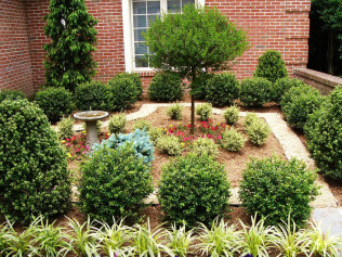 Plantings | Ramsey, Bergen County & Franklin Lakes, NJ | Ditomaso ...